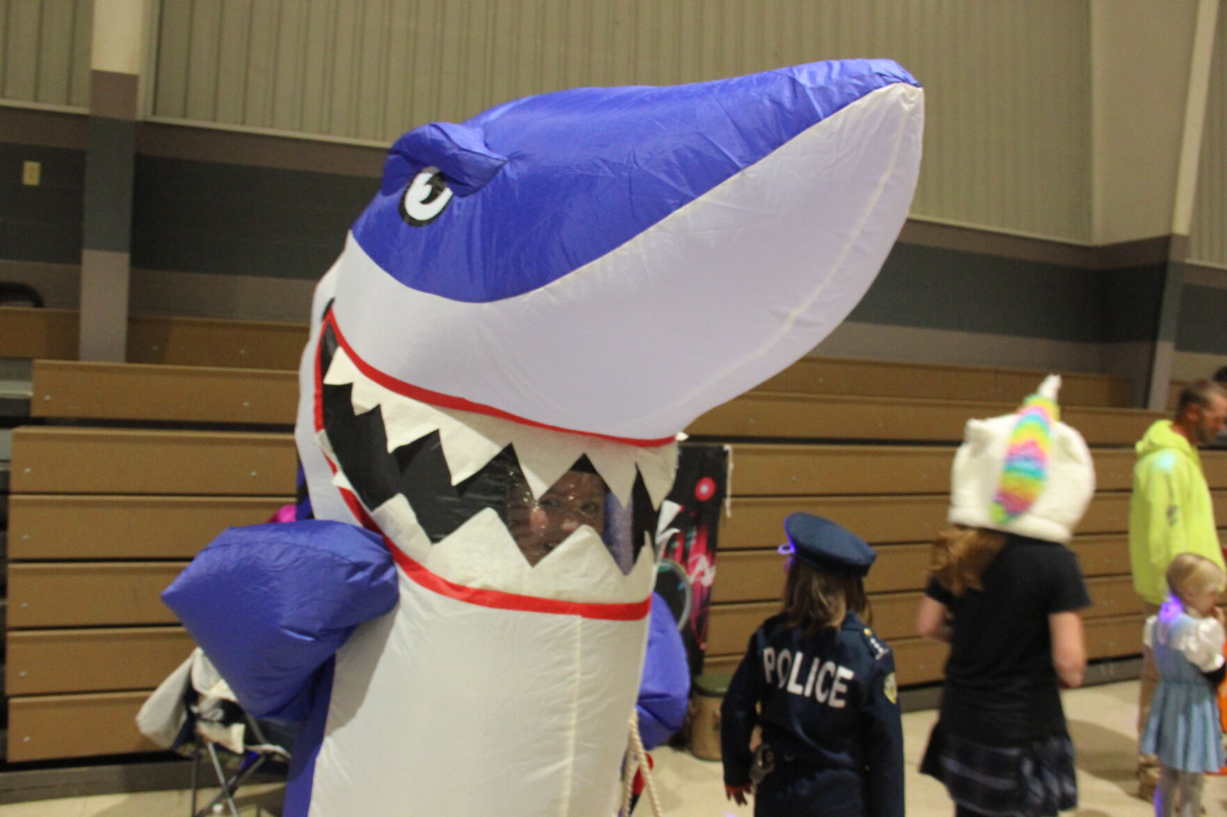 Shark attack